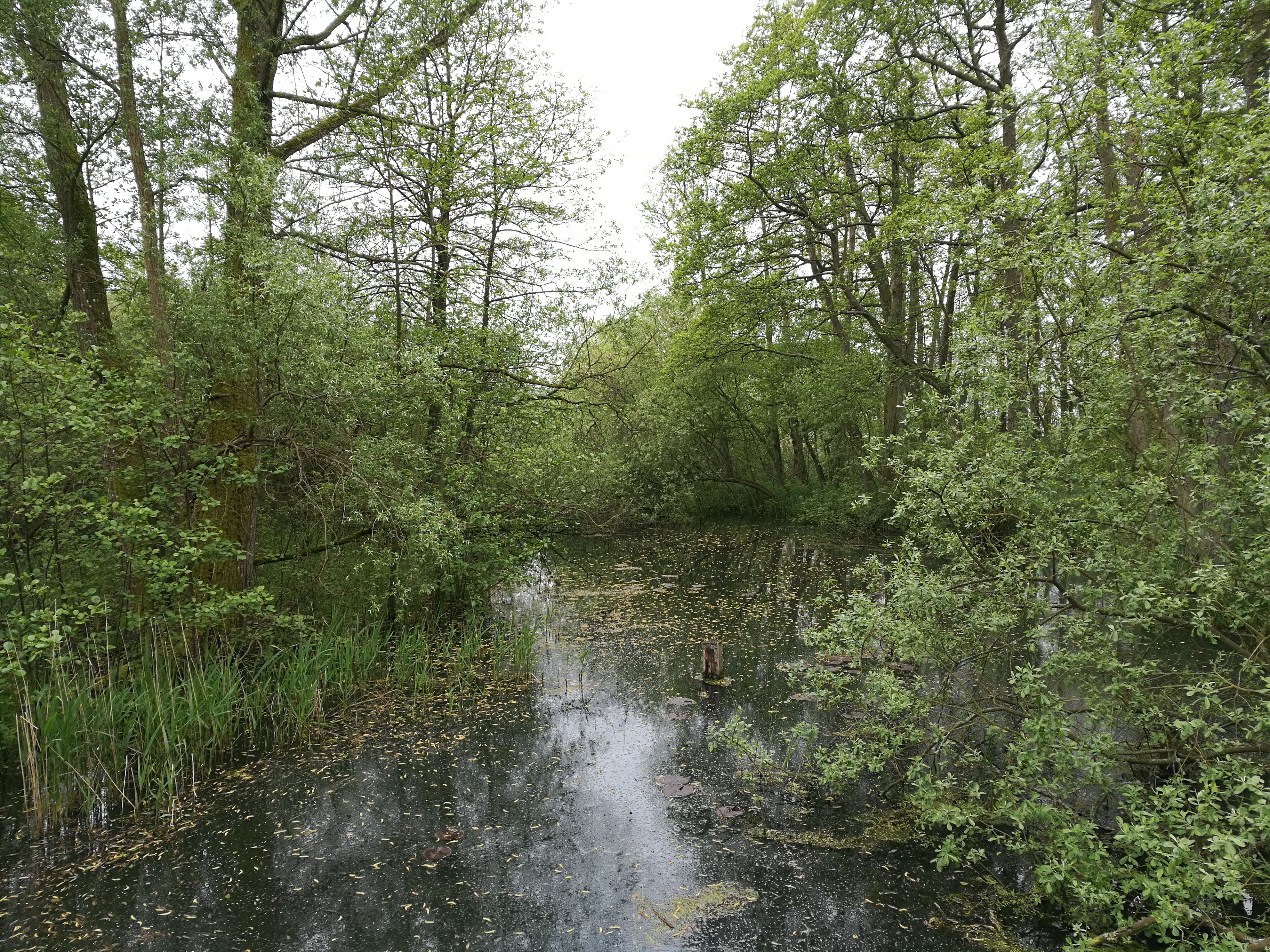 Usser&oslash;d patak