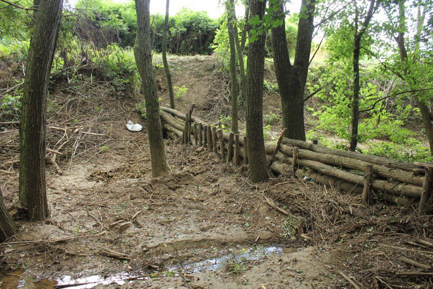 A wooden dam created under the LIFE-MICACC project