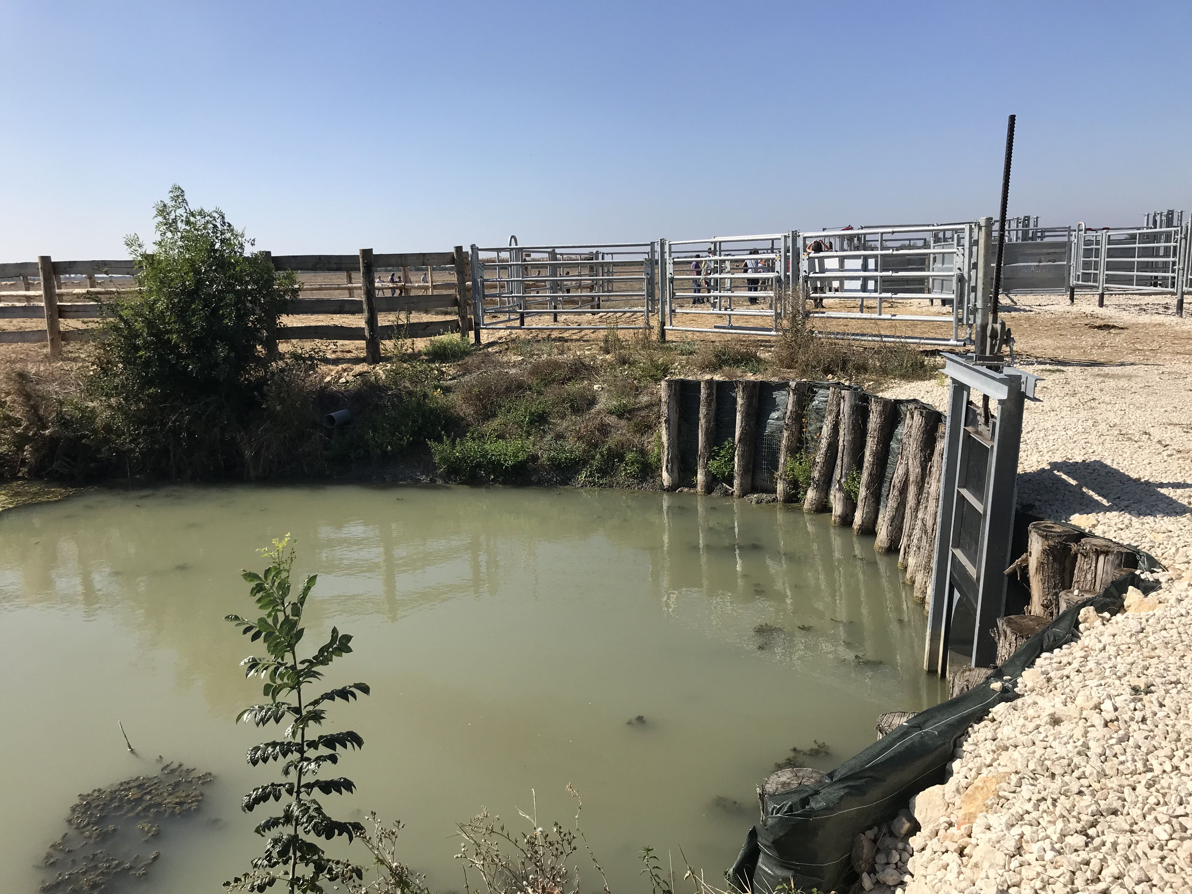 V&iacute;zkorm&aacute;nyz&aacute;st bizos&iacute;t&oacute; műt&aacute;rgy.