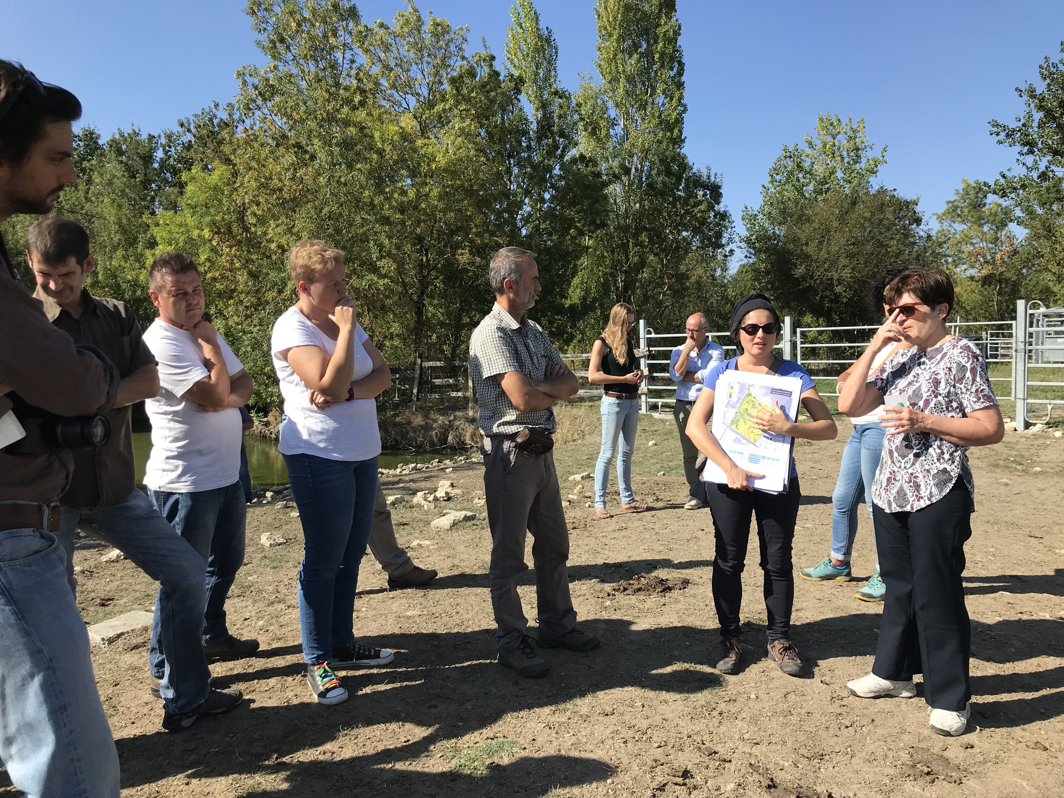 Jantsits &Aacute;gnes (tolm&aacute;cs) seg&iacute;t lek&uuml;zdeni a nyelvi akad&aacute;lyokat.