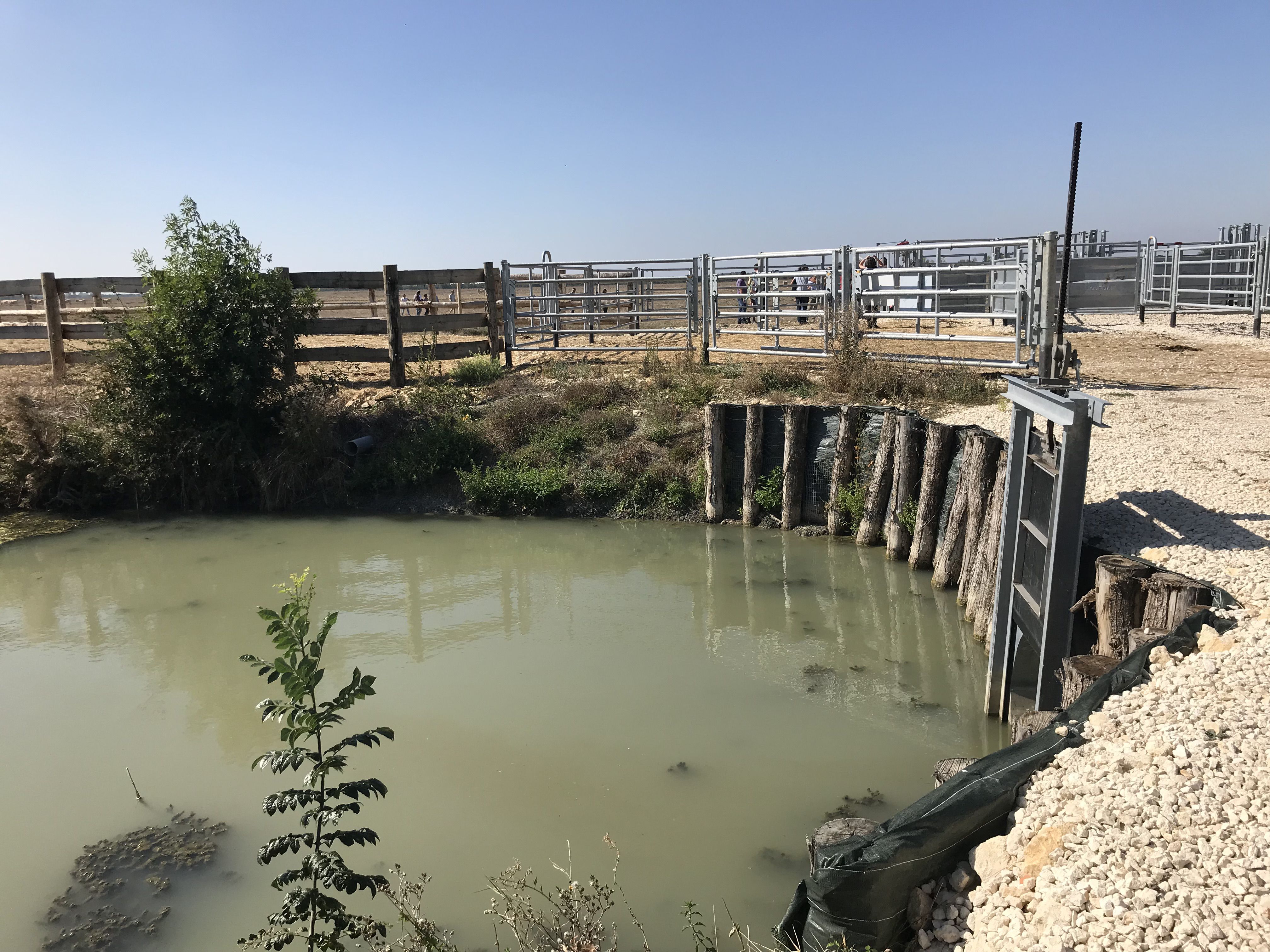 Water management artifact