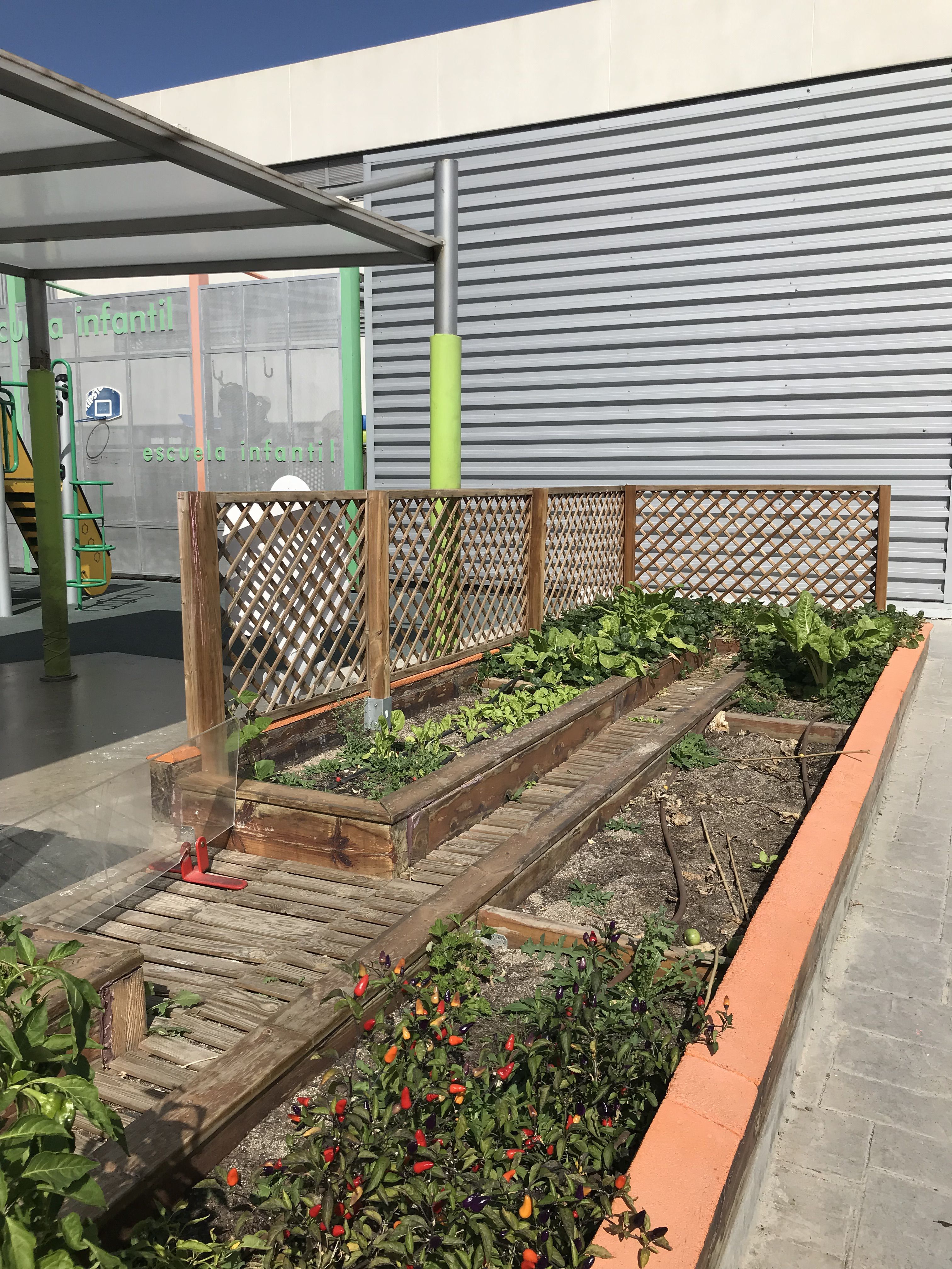 Vegetable garden at the school