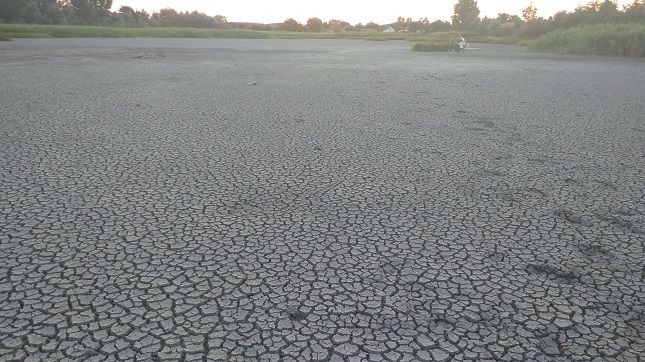 A lecsapol&aacute;sok miatt a t&eacute;rs&eacute;g 24 v&iacute;zt&aacute;roz&oacute;j&aacute;b&oacute;l m&aacute;r csak 4-ben van v&iacute;z &ndash; Fot&oacute;: Toldi Csaba